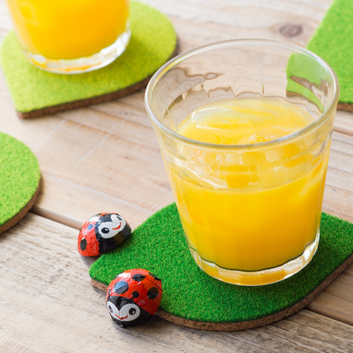 【Ag】Shibaful Cork Coaster
