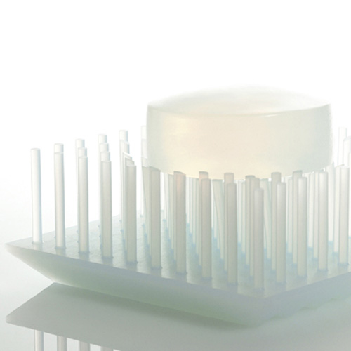 【+d】TSUNTSUN Soap Dish