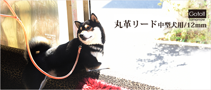 【Goto-tomorrow】丸革リード12mm