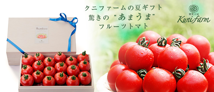 【クニファーム】フルーツトマトギフト Bambino 1kg