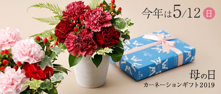 【青山花茂本店】母の日カーネーションアレンジメント2019