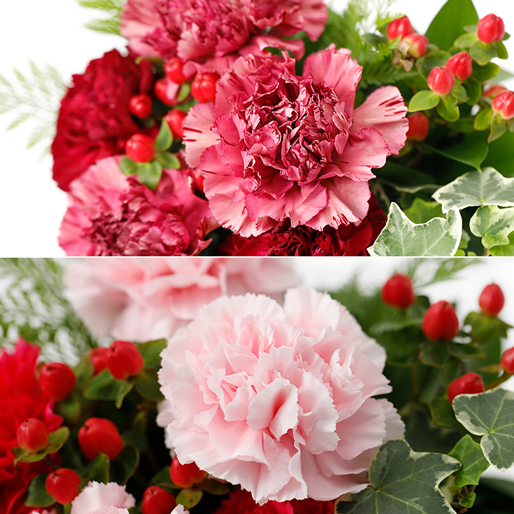 【青山花茂本店】母の日カーネーションアレンジメント2019