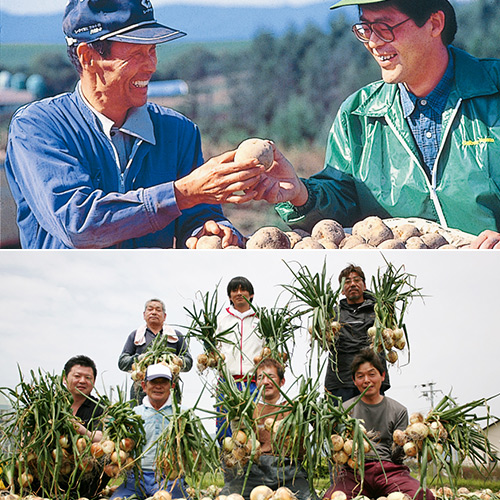 【Calbee】国産野菜チップス 淡路島産たまねぎと北海道産じゃがいも BOXタイプ