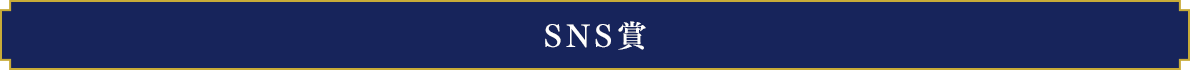 SNS賞