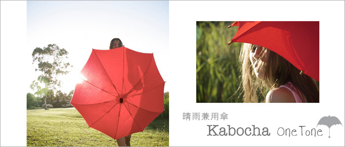 sample1