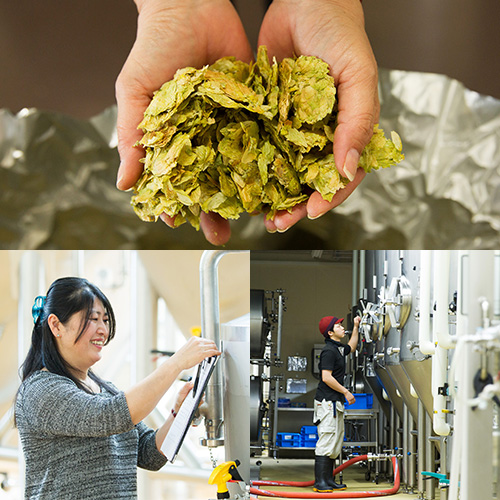 使うのは100%生ホップ複雑かつ飽きないビールを目指して