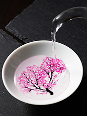 【丸モ高木陶器】桜の平盃