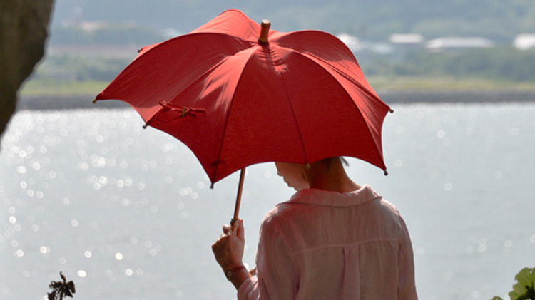 【DiCesare Designs】Kabocha ONE TONE