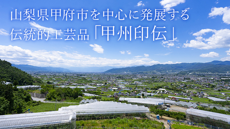 【JIZAING×INDEN】甲州印伝 合切袋 大
