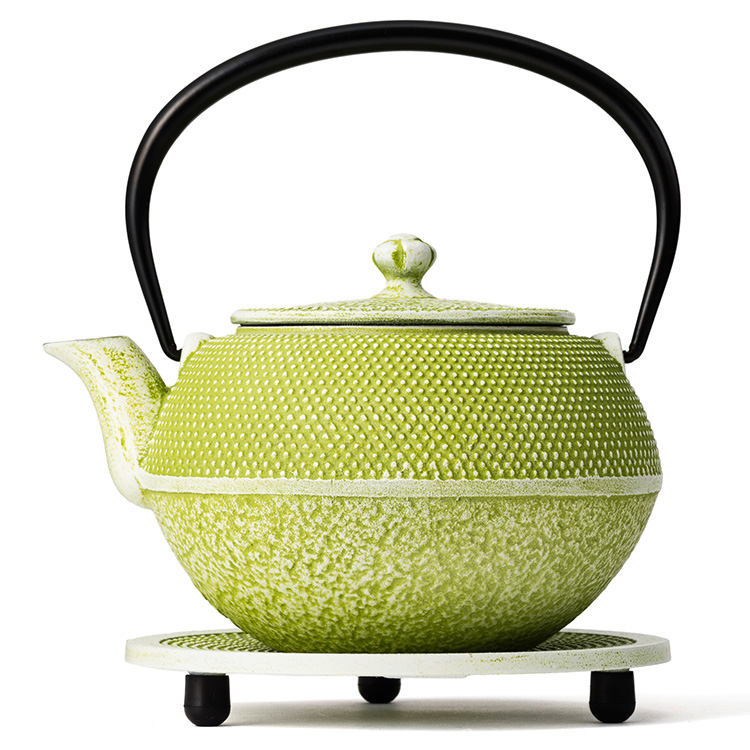 【OIGEN】南部鉄器 急須&瓶敷セット/藤巻百貨店 別注カラー