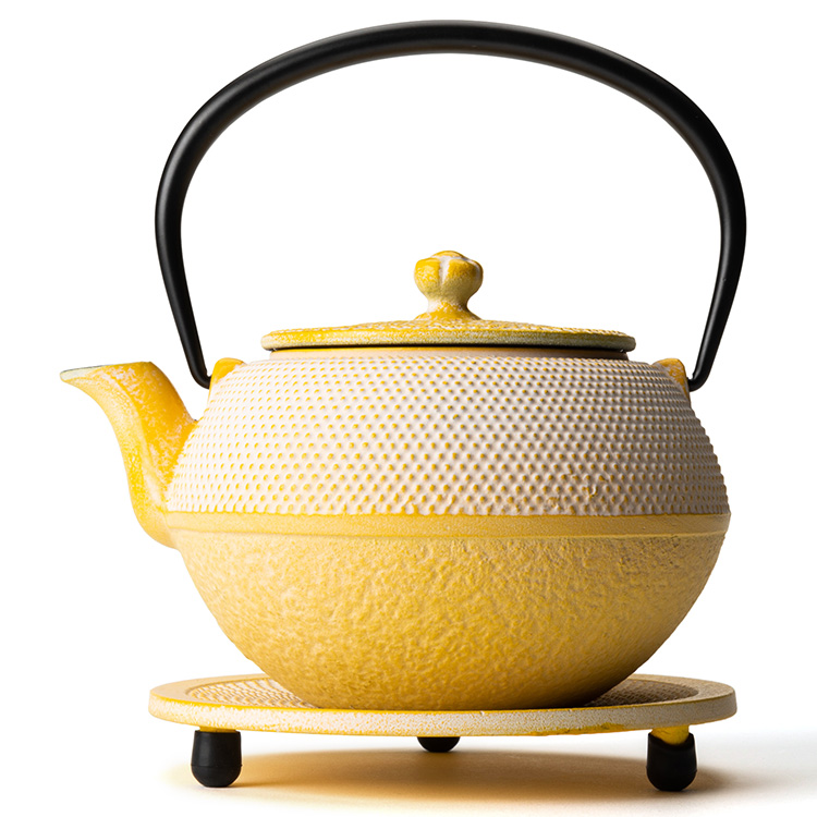 【OIGEN】南部鉄器 急須&瓶敷セット/藤巻百貨店 別注カラー