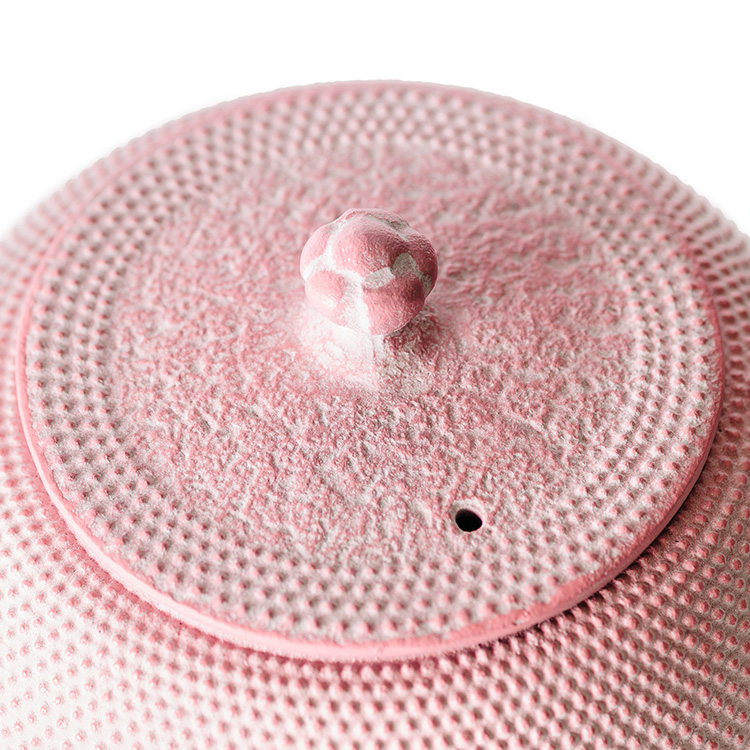 【OIGEN】南部鉄器 急須＆瓶敷セット／藤巻百貨店 別注カラー