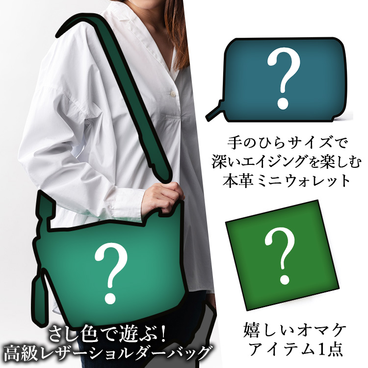 運試しミステリーバッグ 秋旅応援 大人気バッグと高級革財布 オマケの豪華3点セット 藤巻百貨店