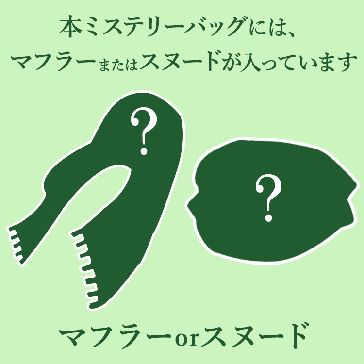 【運試しミステリーバッグ】肌触り◎！あったかおしゃれ小物セット 2025