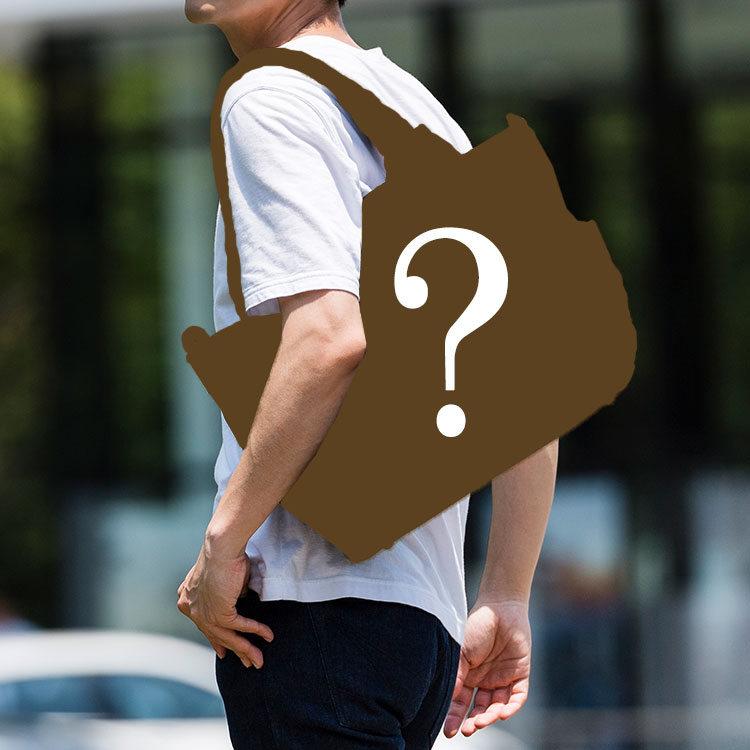 【運試しミステリーバッグ】おまけ付き！人気バッグ＆マフラーセット 2026