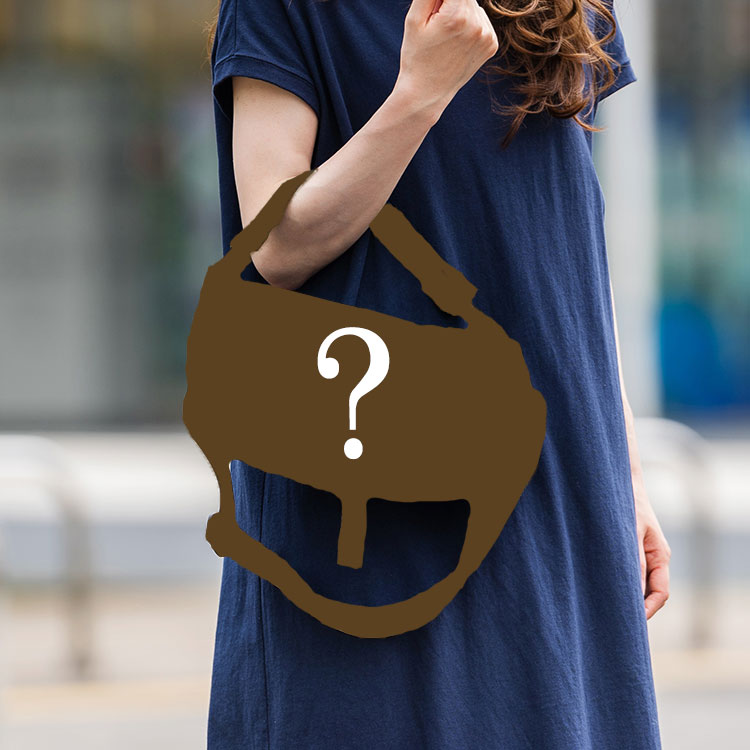 【運試しミステリーバッグ】おまけ付き！人気バッグ＆マフラーセット 2026