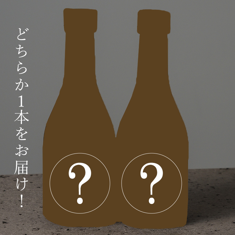 【運試しミステリーバッグ】祝い酒に！プレミアム酒器ペアセット&日本酒1本 2026