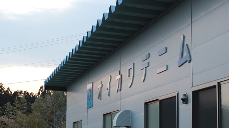 【オイカワデニム】OIKAWA DENIM ストレート ナチュラルホワイトデニム