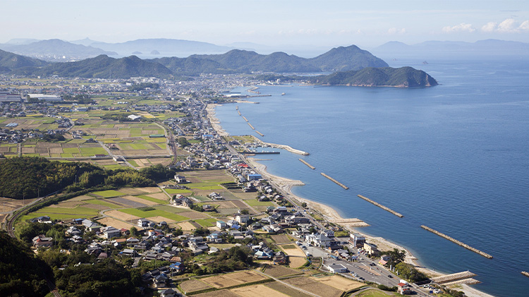 【KURODA】全天候型 レザーゴルフグローブ PELLEK