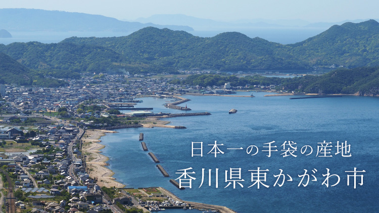 【福田手袋】L'apero 藤巻別注メンズボアグローブ