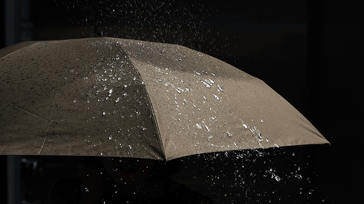 【Ramuda】晴雨兼用 折りたたみ傘/軽量カーボン(超撥水ミノテック)