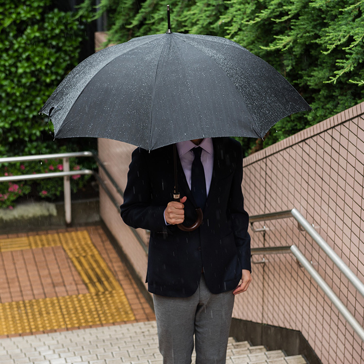 【Ramuda】ジャンプ式耐風骨 紳士長傘(65cm)