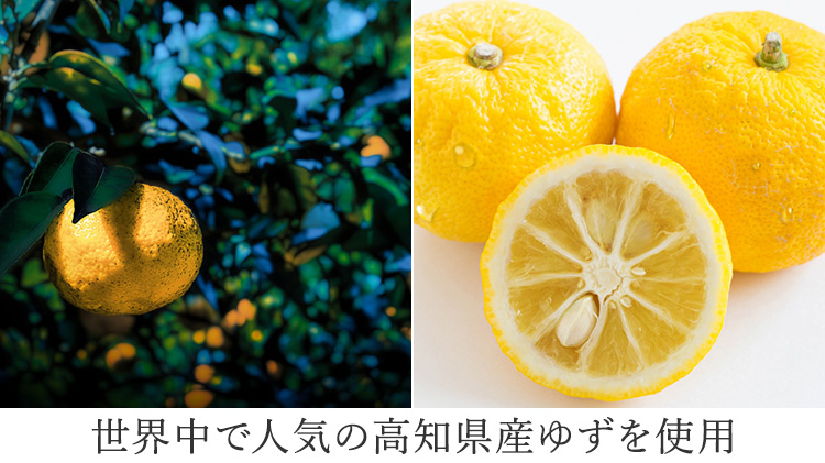 【酔鯨酒造】酔鯨リキュールかじゅ