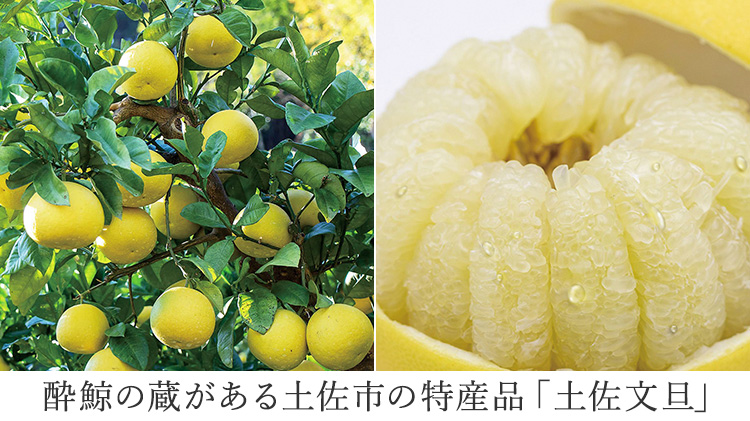 【酔鯨酒造】酔鯨リキュールかじゅ