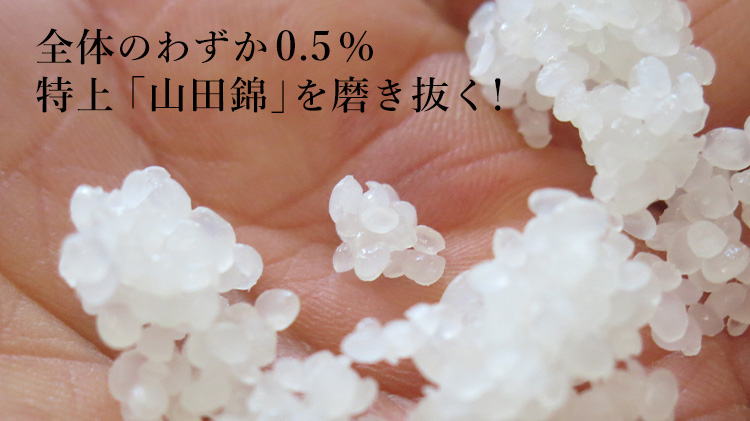【酔鯨酒造】純米大吟醸 彩 5年熟成