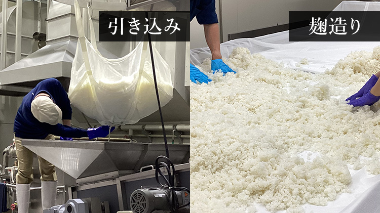 【酔鯨酒造】純米大吟醸 IZA