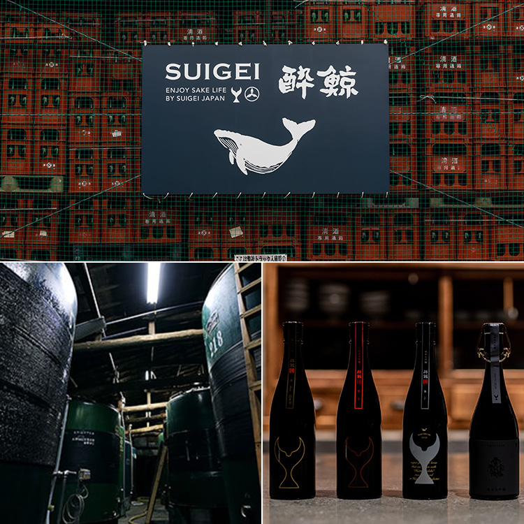 酔鯨酒造】純米大吟醸 IZA | 藤巻百貨店