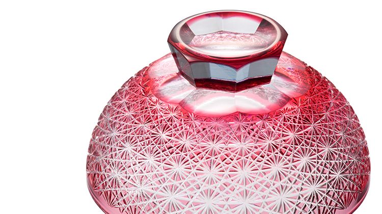 【篠崎 翔太】蓋向 菊繋ぎ