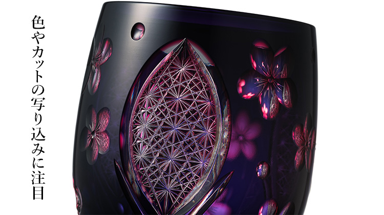 【鍋谷 海斗】夜桜