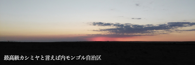 【el alto】ベビーカシミヤ ネックウォーマー