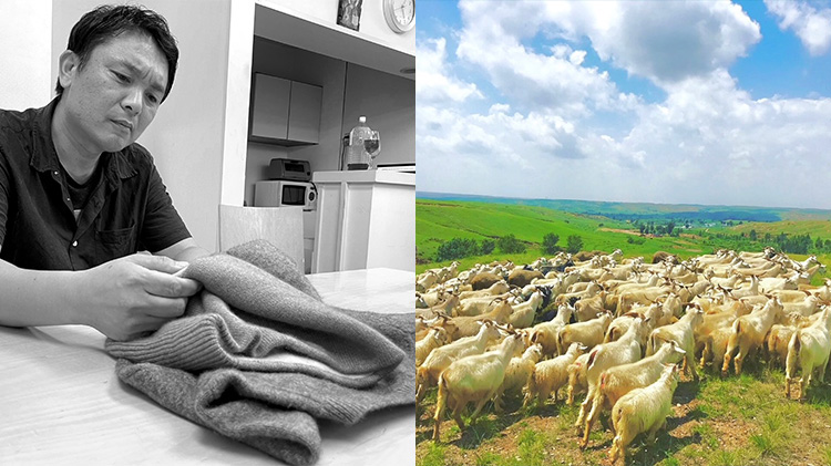 【el alto】カシミヤ100% リブネックウォーマー　バイカラー