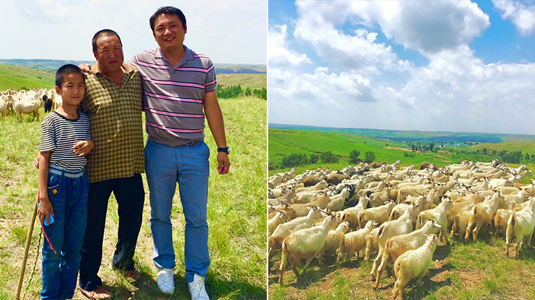 【el alto】カシミヤちびマフラー