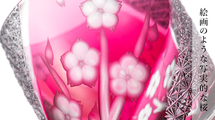 【渡部 聖也】観桜