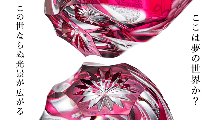 【渡部 聖也】観桜