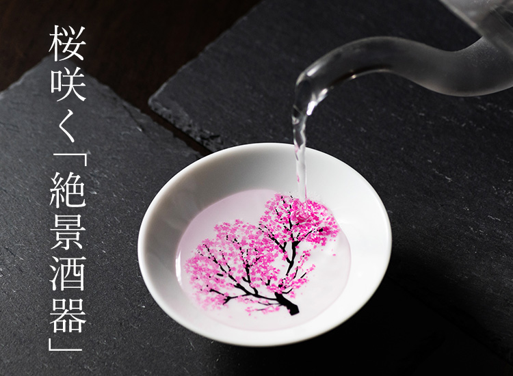 【丸モ高木陶器】桜の平盃 ペアセット