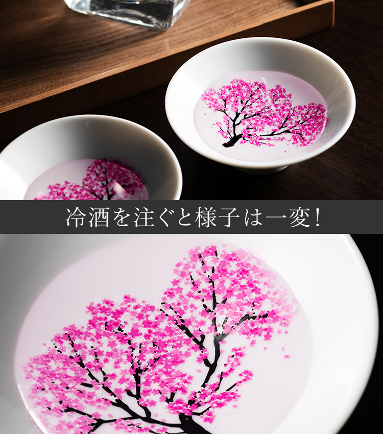 【丸モ高木陶器】桜の平盃 ペアセット