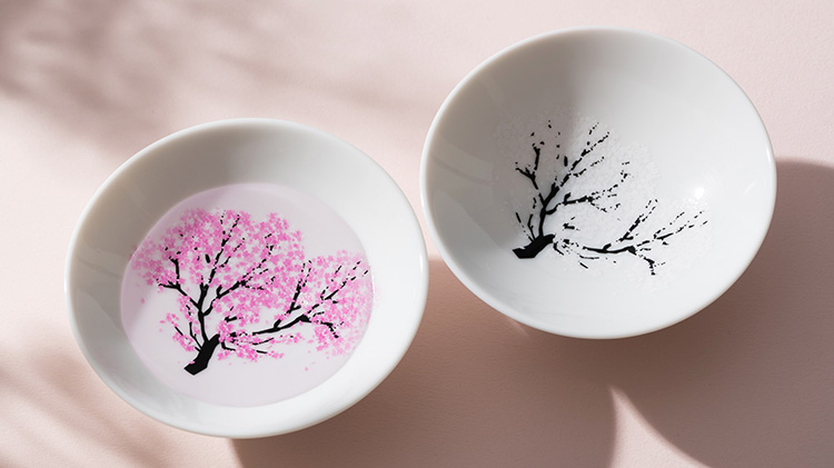 【丸モ高木陶器】桜の平盃 ペアセット