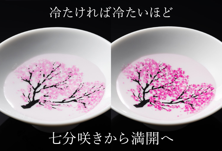【丸モ高木陶器】桜の平盃 ペアセット