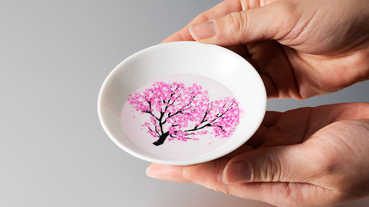 【丸モ高木陶器】桜の平盃 ペアセット