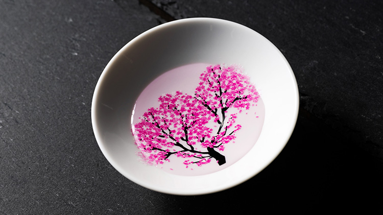 【丸モ高木陶器】桜の平盃 ペアセット