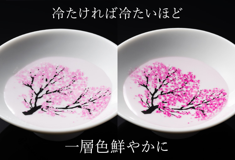 【丸モ高木陶器】桜と青富士の平盃 特別セット