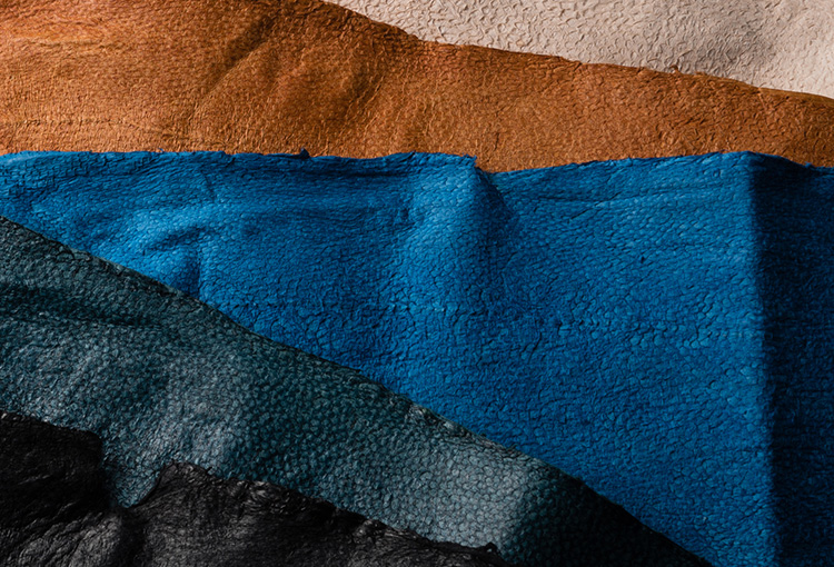 【tototo】Fish Leather Card Case