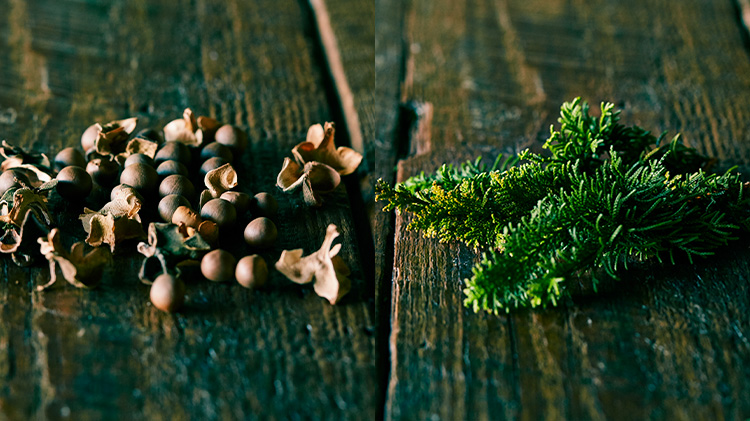 【Komons】ハンドミルク Cotton Fields