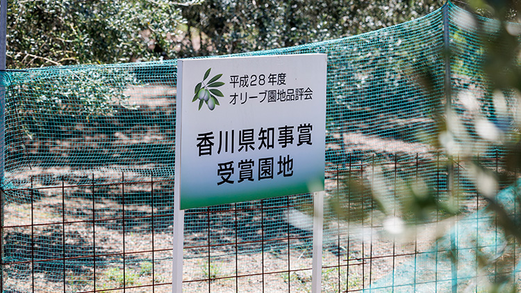【八木農園】小豆島・自社農園産100% エキストラヴァージンオリーブオイル