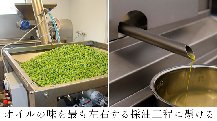 【八木農園】小豆島・自社農園産100% エキストラヴァージンオリーブオイル