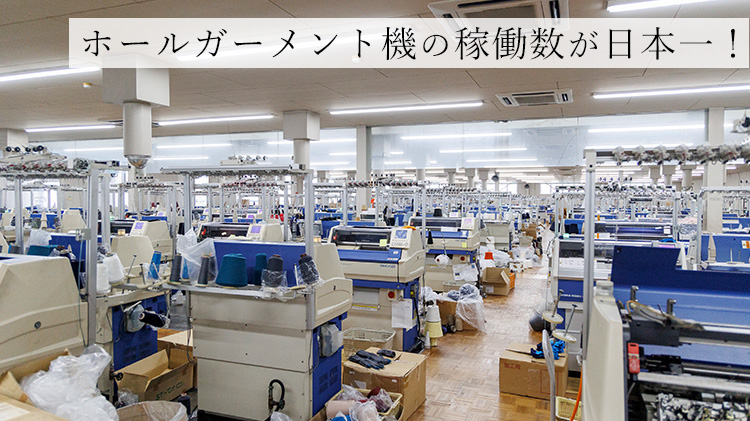 【WABSAB】十割和紙糸の隠れ5本指ソックス